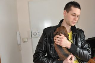 jamnik d�ugow�osy NAILA